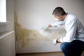 Best Residential Mold Inspection & Testing  in Summit Park, UT